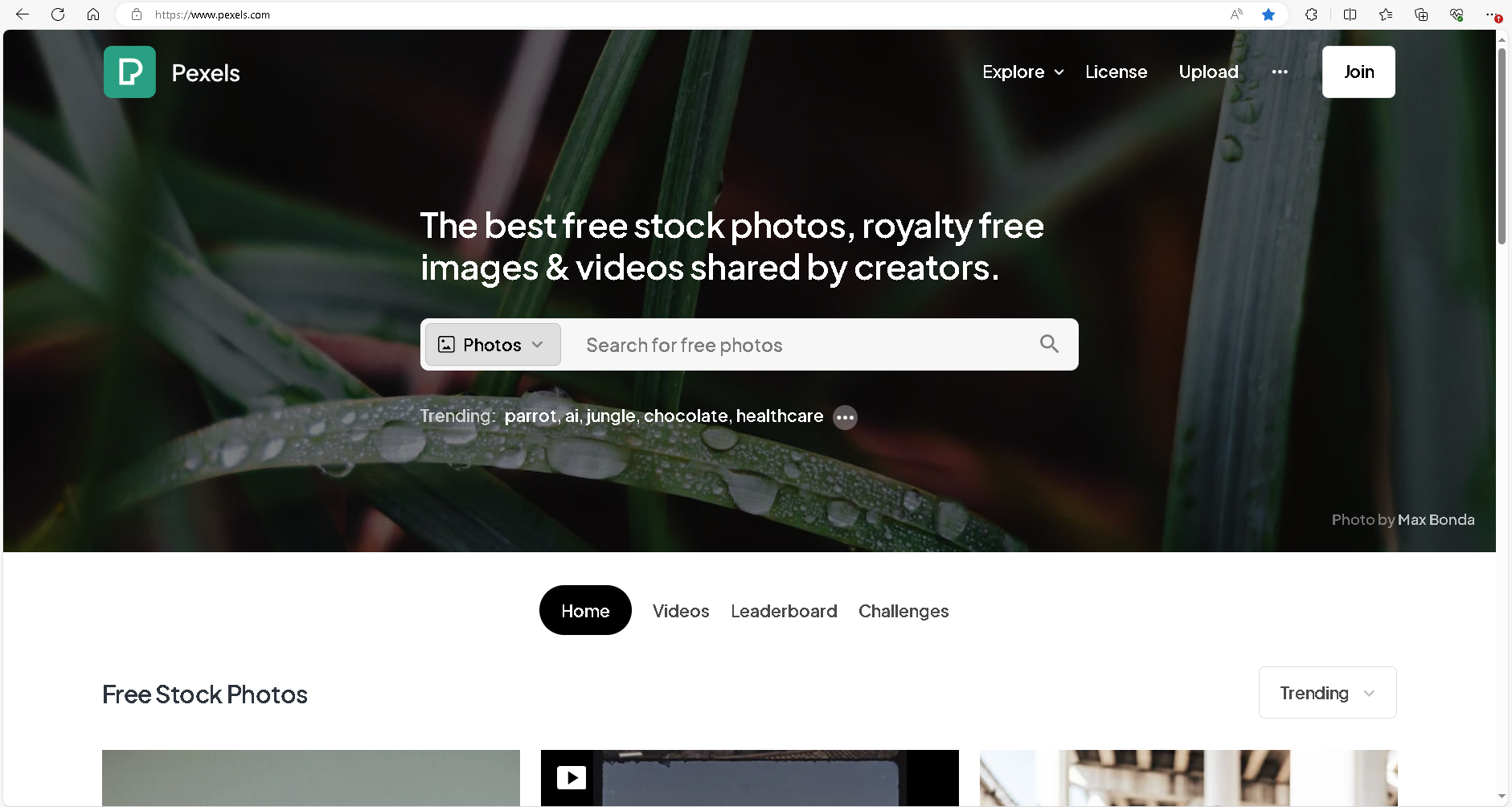 screenshot of a stock photo company front page website