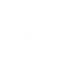 a.seal signiture 2025 transparent