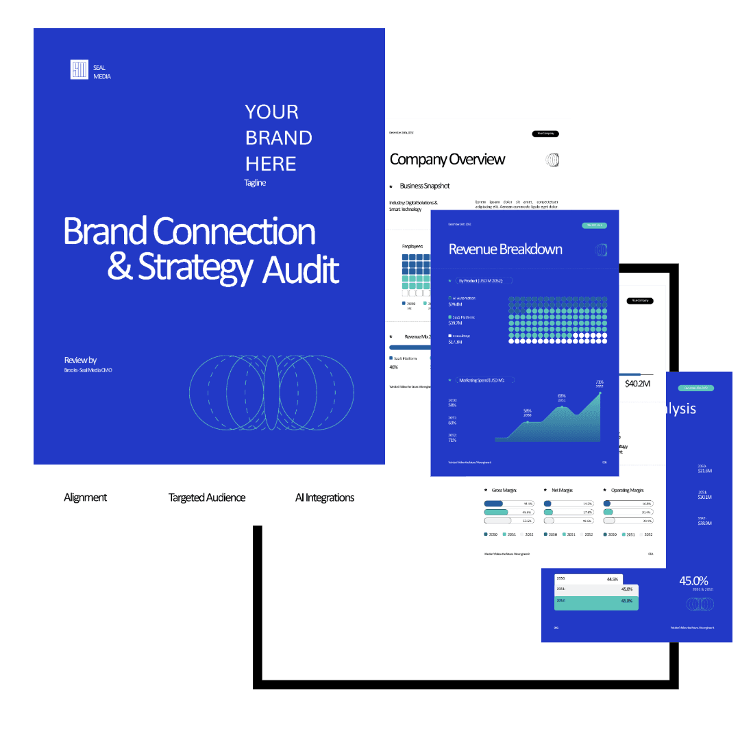 Brand-Connection-and-Strategy-Audit-Example